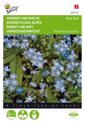 Myosotis des alpes