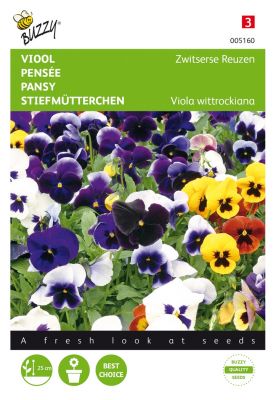 Pansy swiss giants mixed