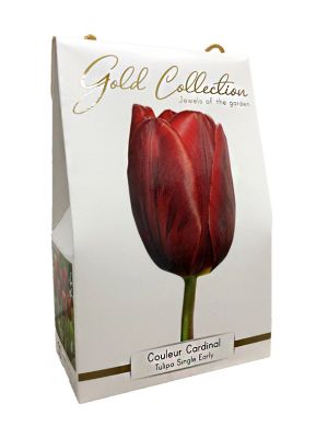 Couleur cardinal - gold collection