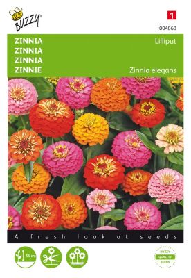 Zinnia lillyput mixed